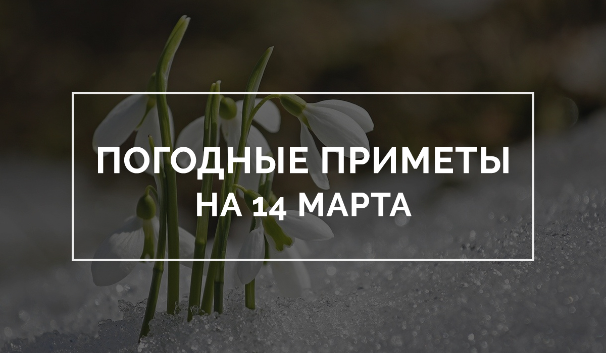 Приметы на 14 марта 2020: что нельзя делать? » Лента новостей Казахстана -  Kazlenta.kz