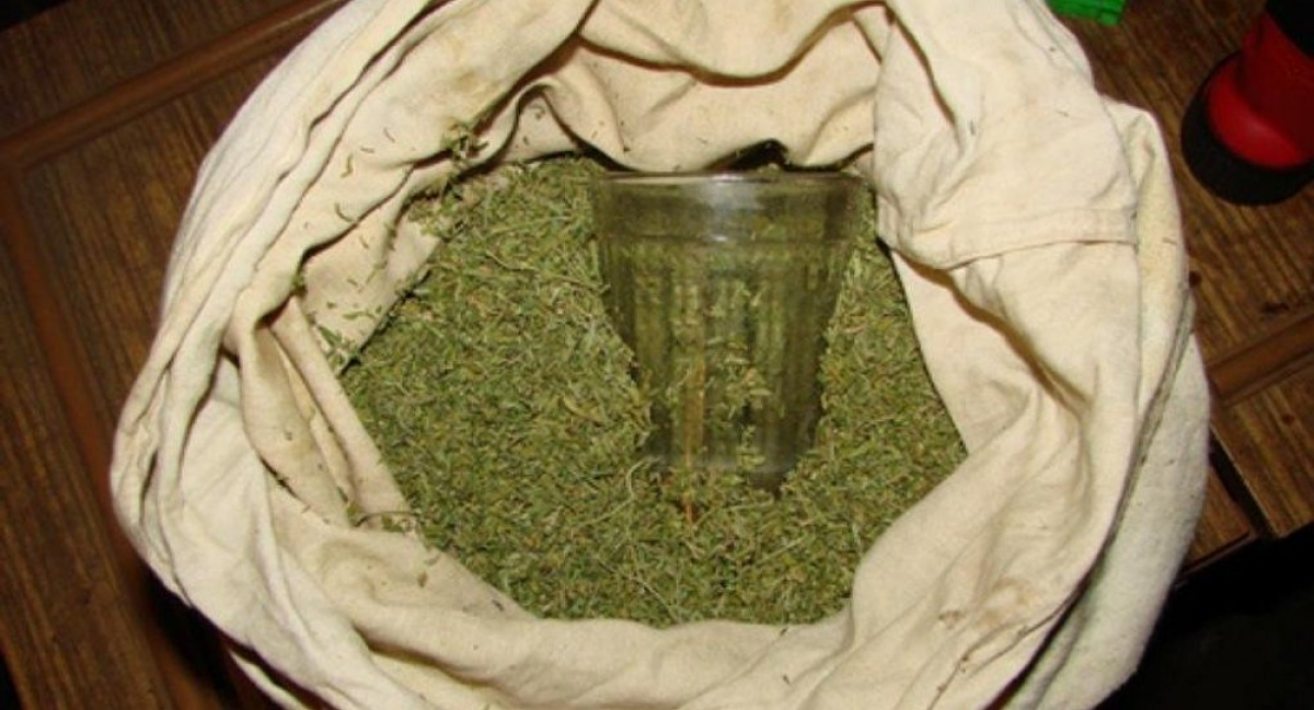 Хранение марихуаны казахстан фото в виде конопли