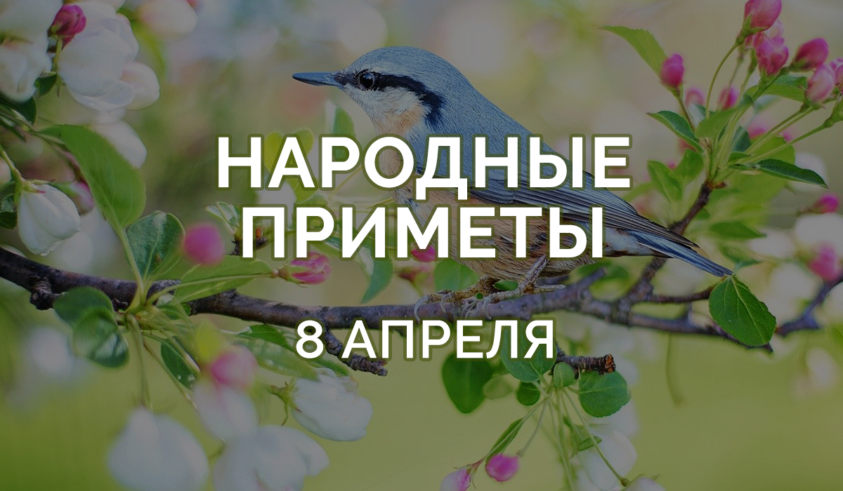 Приметы на 8 апреля 2020: нельзя в этот день скупиться! » Лента новостей  Казахстана - Kazlenta.kz