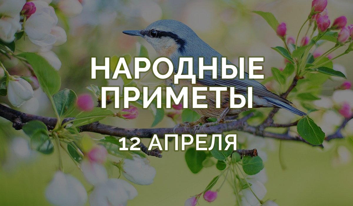 Приметы на 12 апреля 2020 - Вербное воскресенье: запрещается выполнять