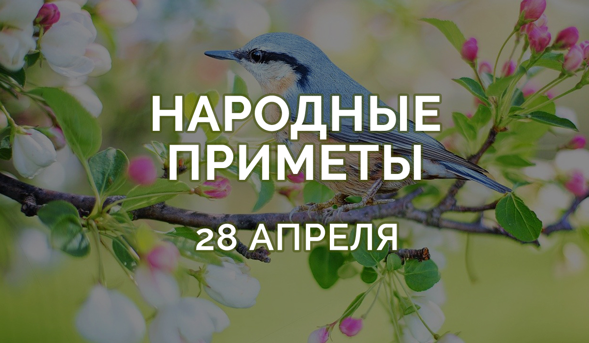 Приметы на 28 апреля 2020: в этот день запрещается есть яйца! » Лента  новостей Казахстана - Kazlenta.kz