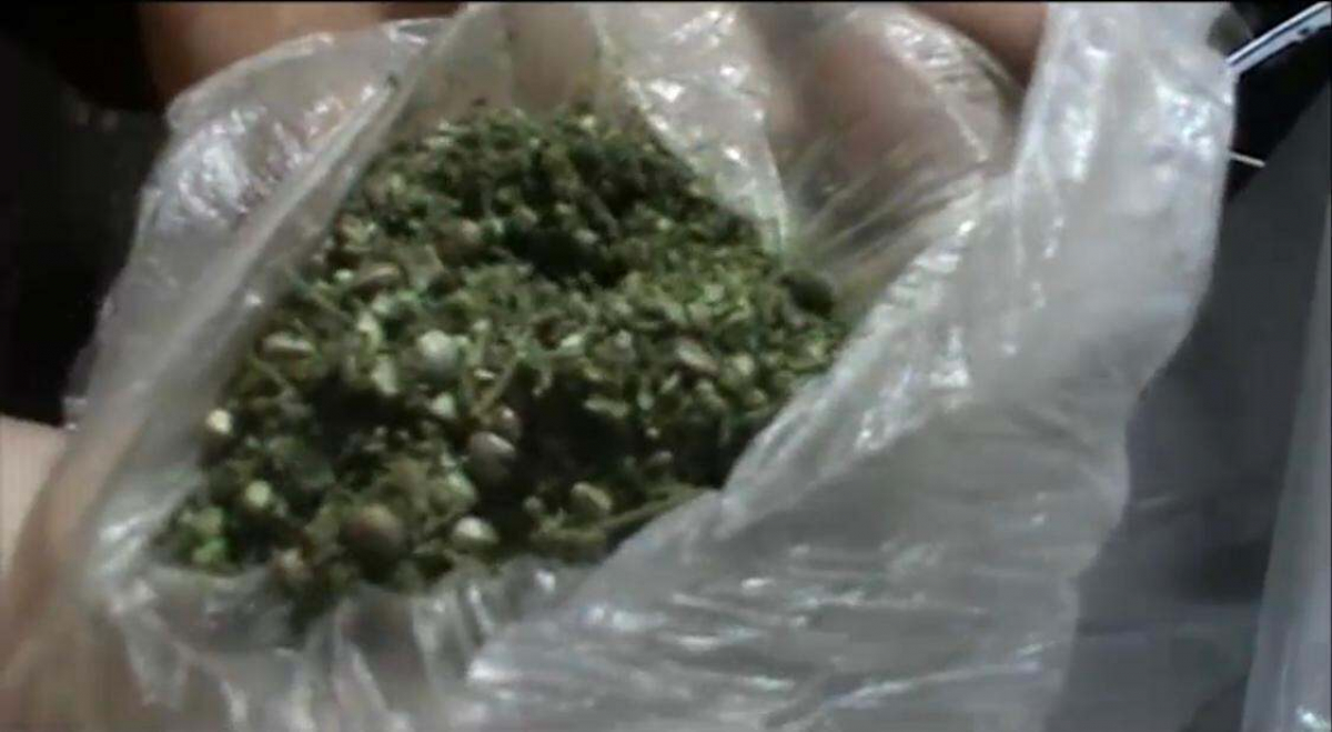 сколько грамм пакете марихуаны