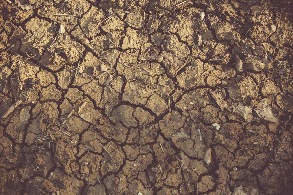 В Казахстане ожидается экстремальная засуха