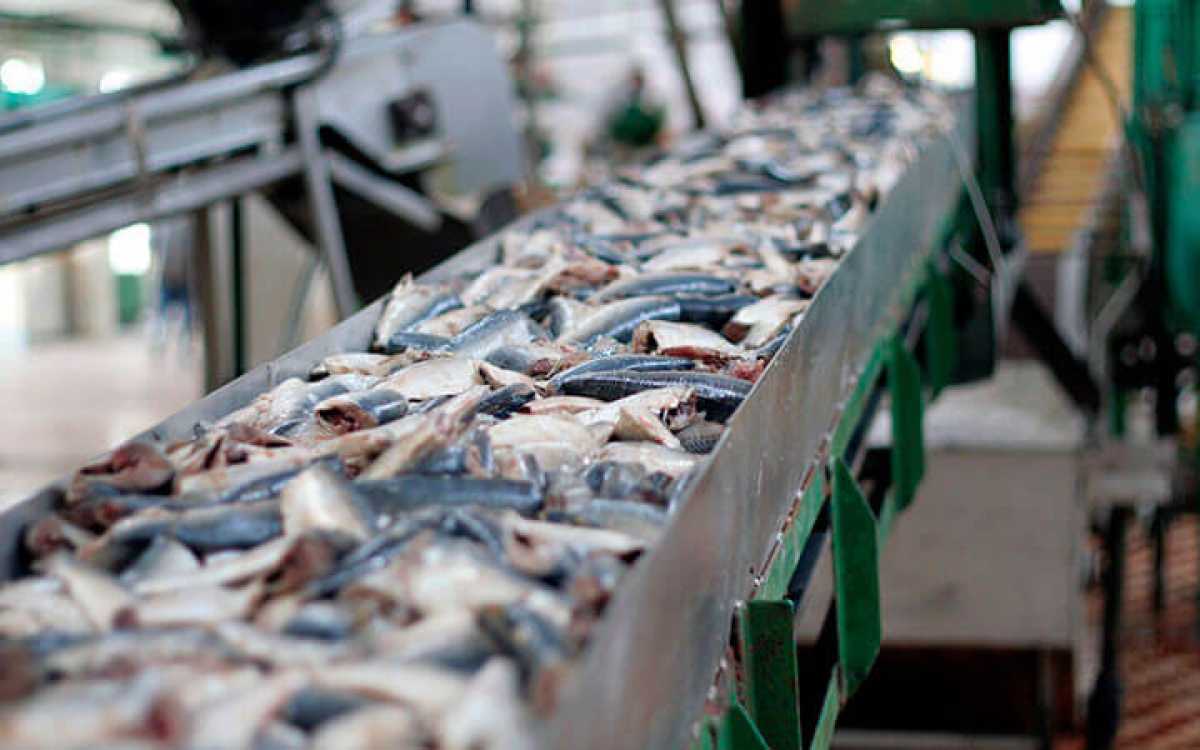 В Минэкологии опровергли информацию о снижении объемов производства рыбной продукции в 2021 году