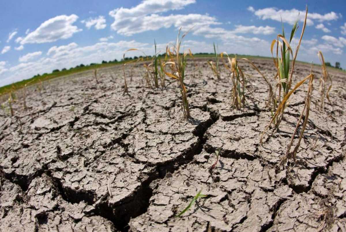 Прогноз засухи на май 2022 года в Казахстане