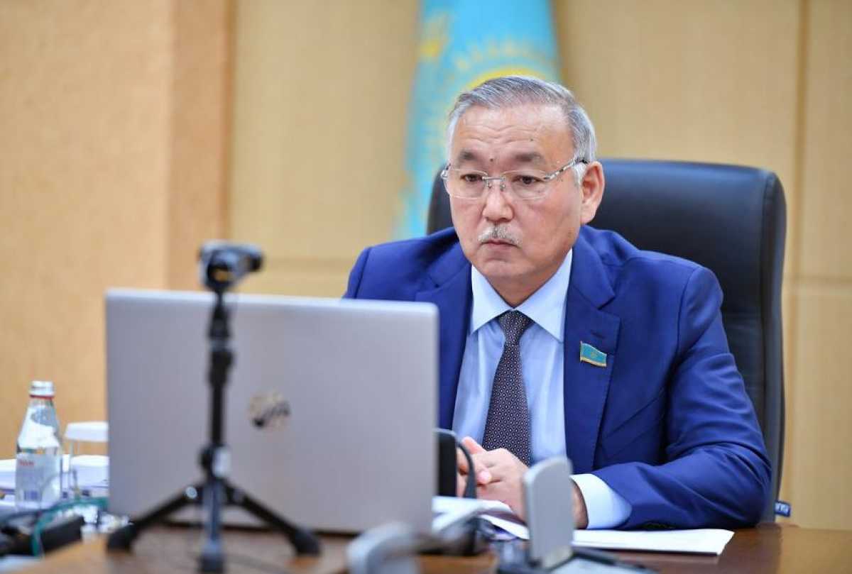 Сенатор обозначил проблему разного уровня жизни в регионах Казахстана