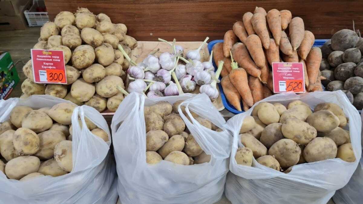 В Казахстане овощи подорожали почти в полтора раза за год