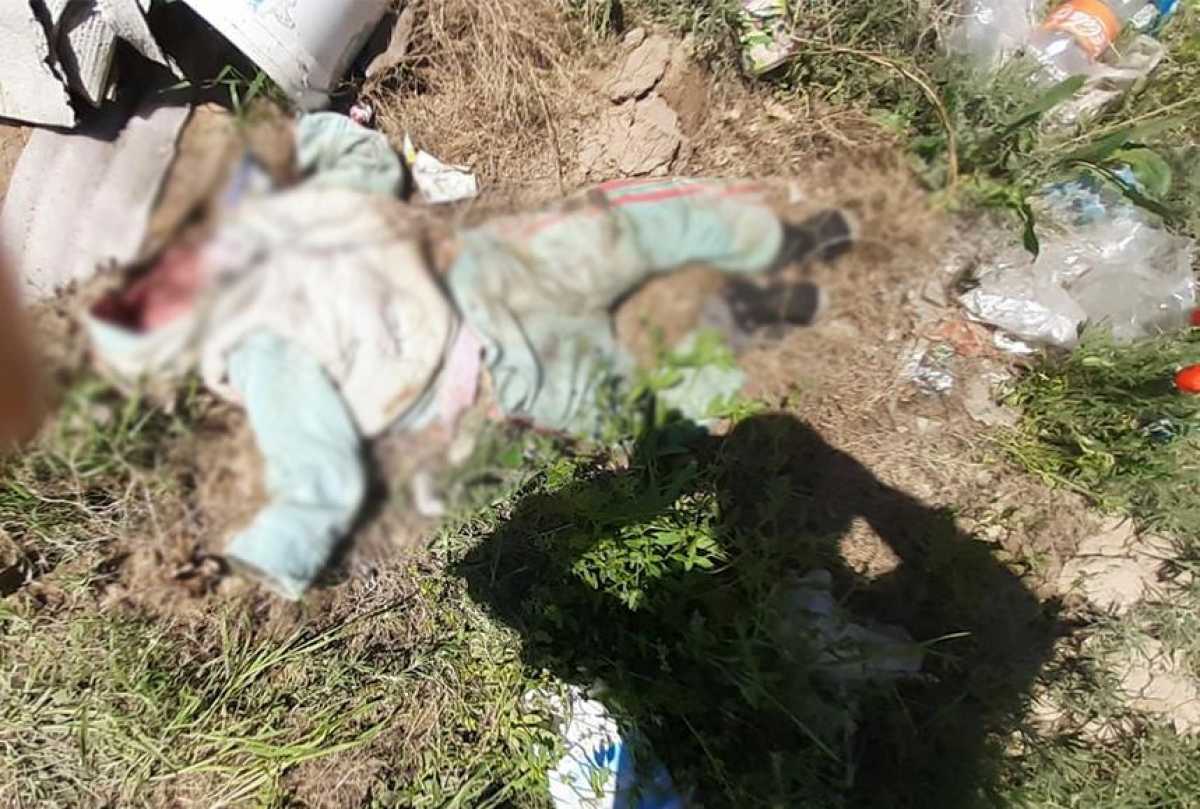 Голова найдена  в пяти метрах: труп пятилетнего ребенка нашли на свалке в Алматинской области