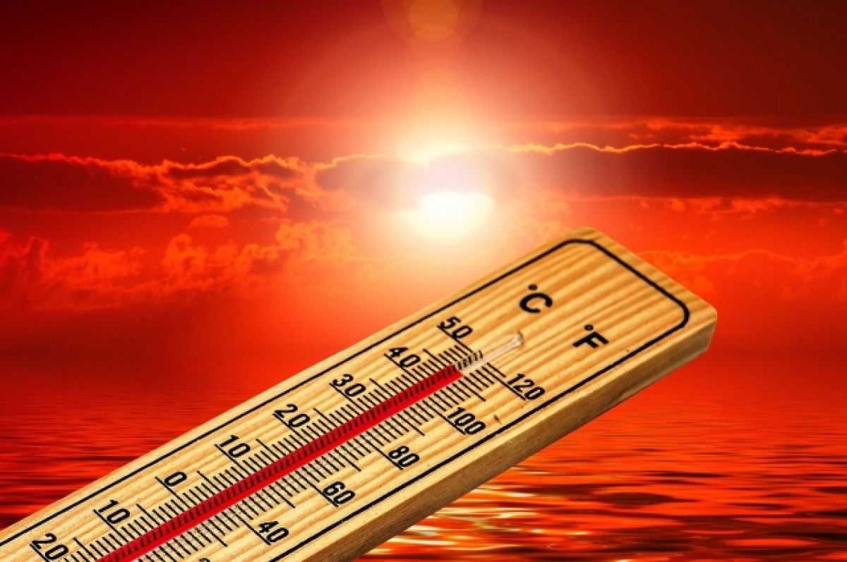 Сильная жара до 44 градусов: почти во всем Казахстане объявлено штормовое предупреждение на 24 июня