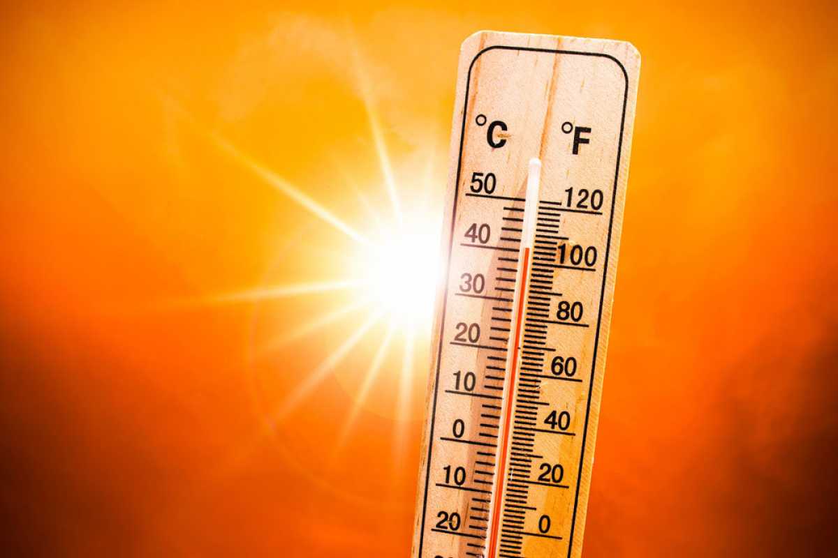 Сильная жара до 43 градусов ожидается в Казахстане 26 июня