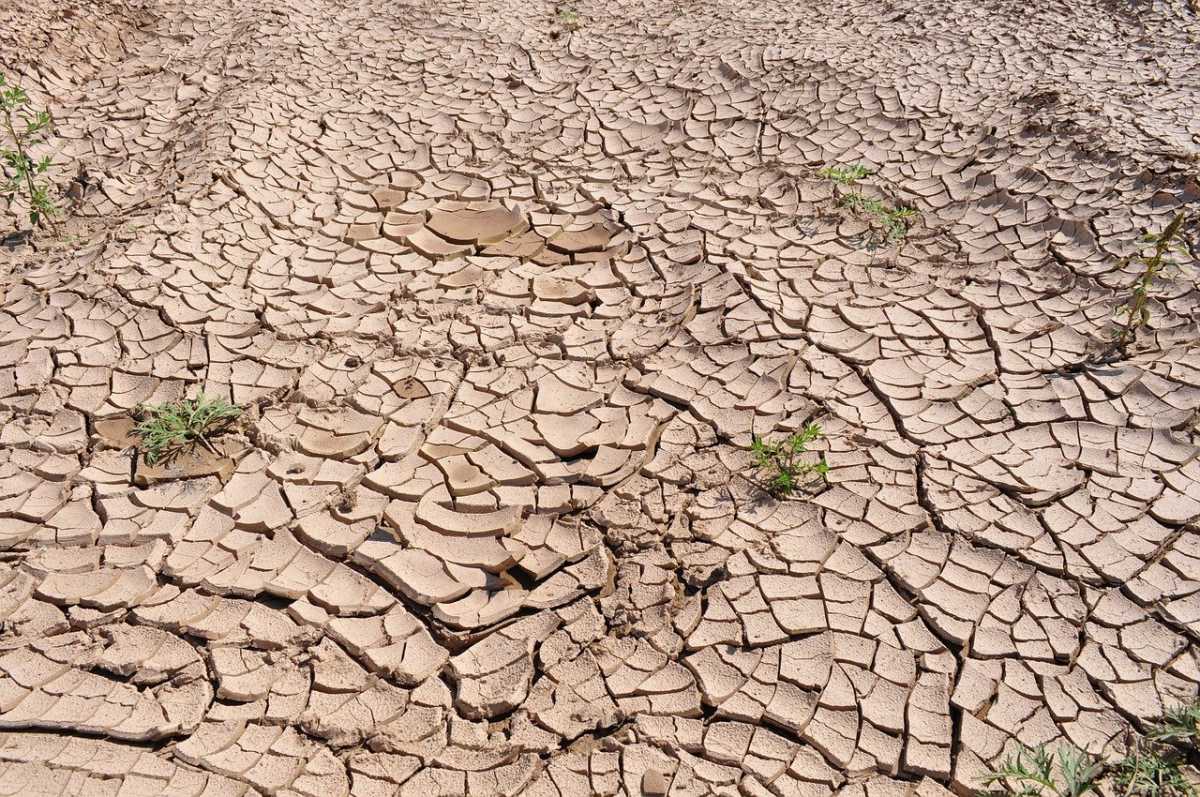 В двух регионах Казахстана ожидается засуха в июле