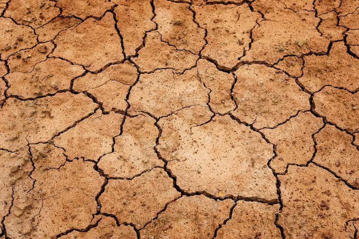 В двух регионах Казахстана ожидается засуха