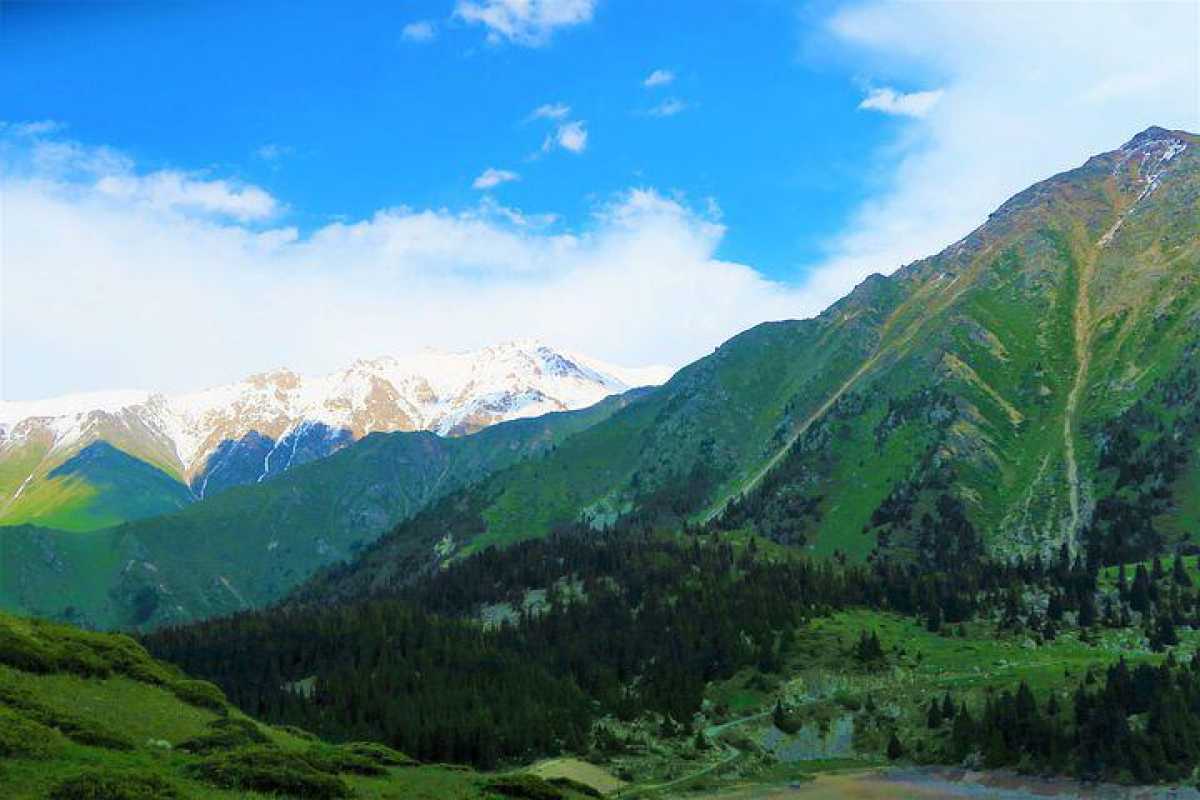 В алматинских горах нашли пропавшего иностранца