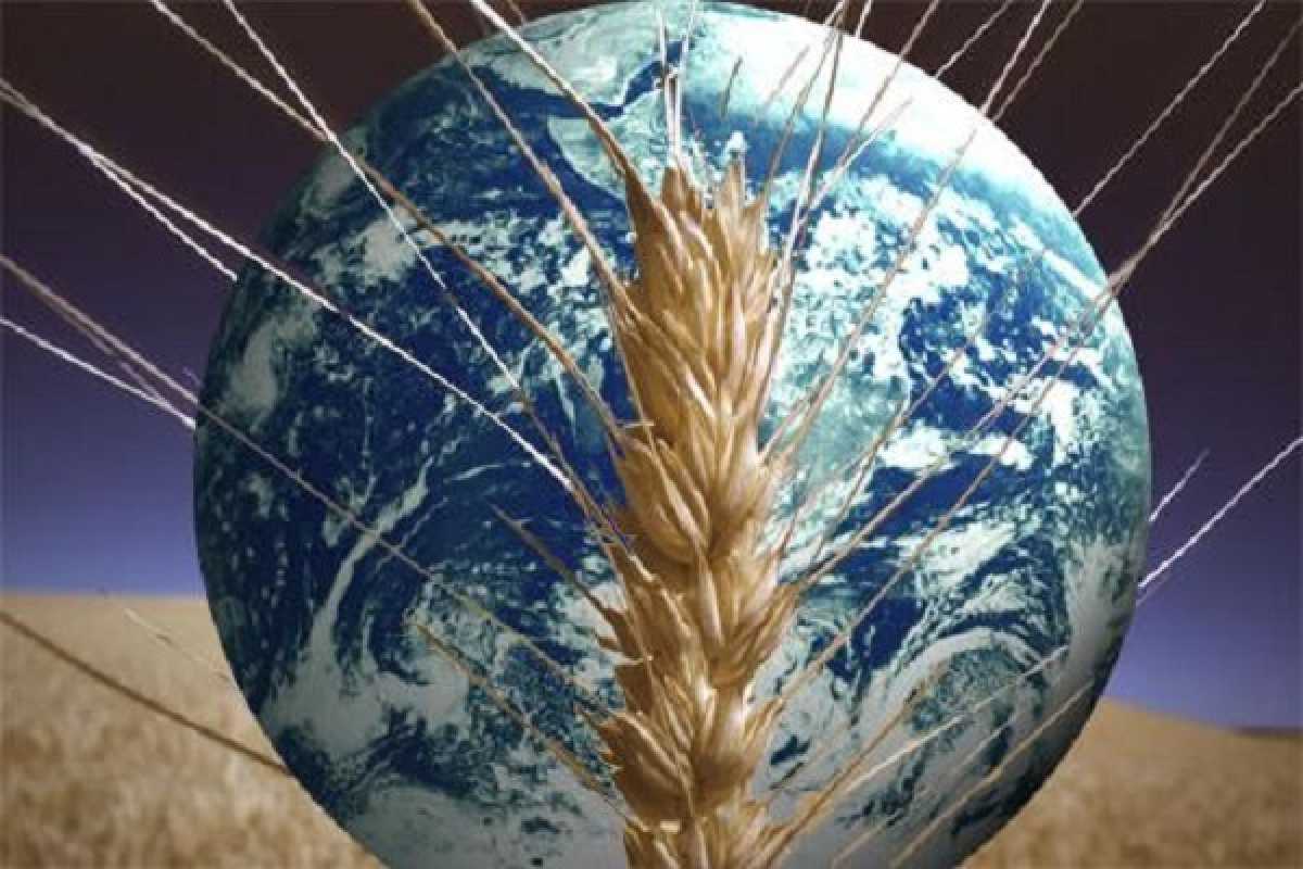 В рейтинге стран мира по продовольственной безопасности Казахстан занял 41-е место из 113