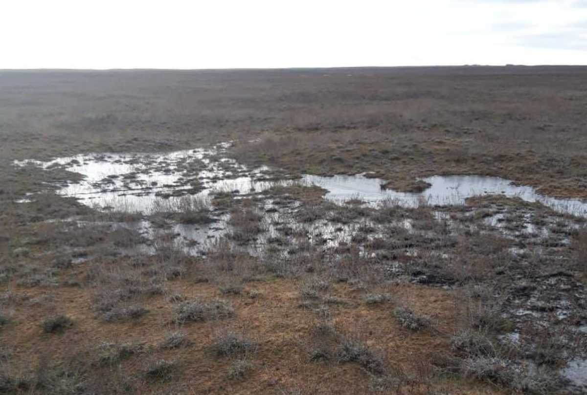 Разлитые в степи нефтепродукты обнаружили в Атырауской области