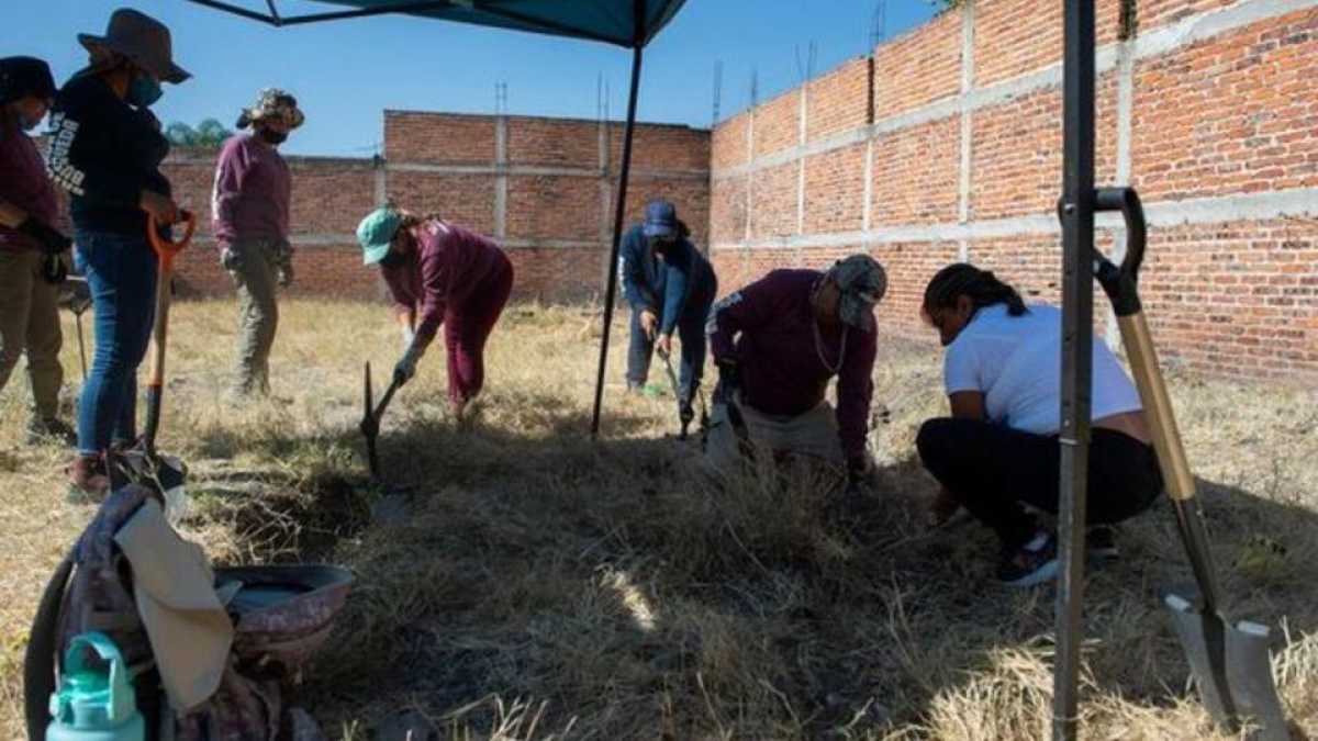 Собака с рукой в пасти привела полицию к 50 пакетам с трупами » Лента ...