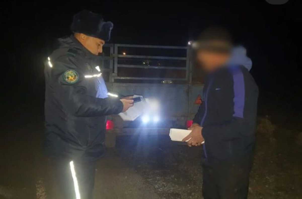 14 нетрезвых водителей за два дня выявили жамбылские полицейские