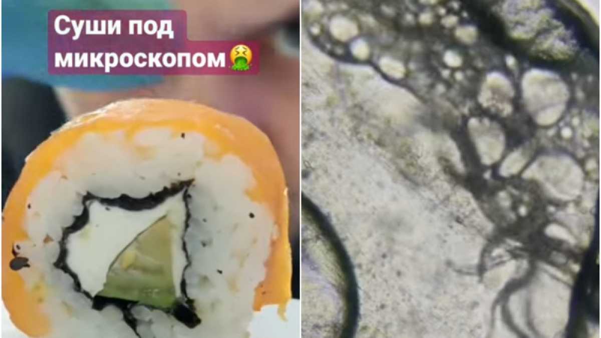 Паразиты в суши. Суши и роллы в японии. роллы японское блюдо. японская кухня суши и роллы.