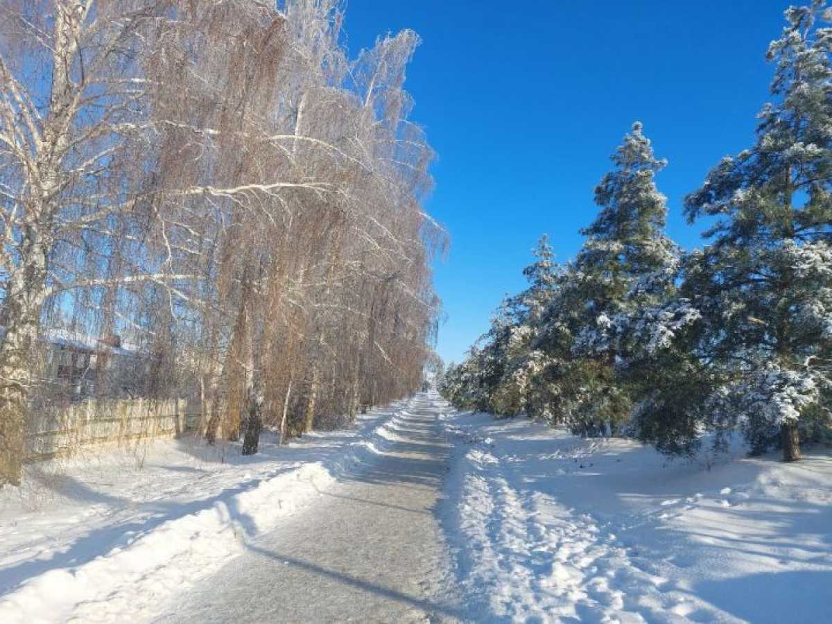 Приметы на 10 февраля. Мир через культуру Сретение Господне. Приметы на Сретение 15 февраля.