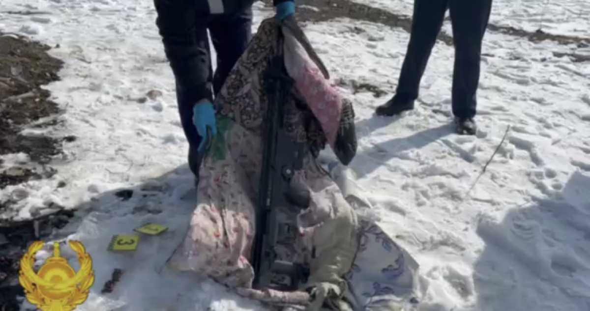 Тайник с редким дорогостоящим оружием обнаружили в Алматинской области