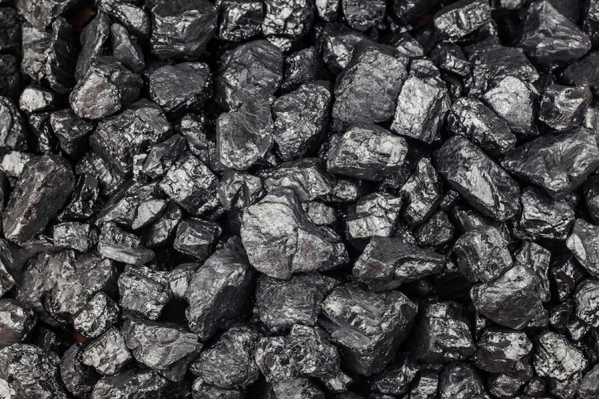 В СКО чиновники хотели закупить уголь по 10 тысяч тенге за килограмм