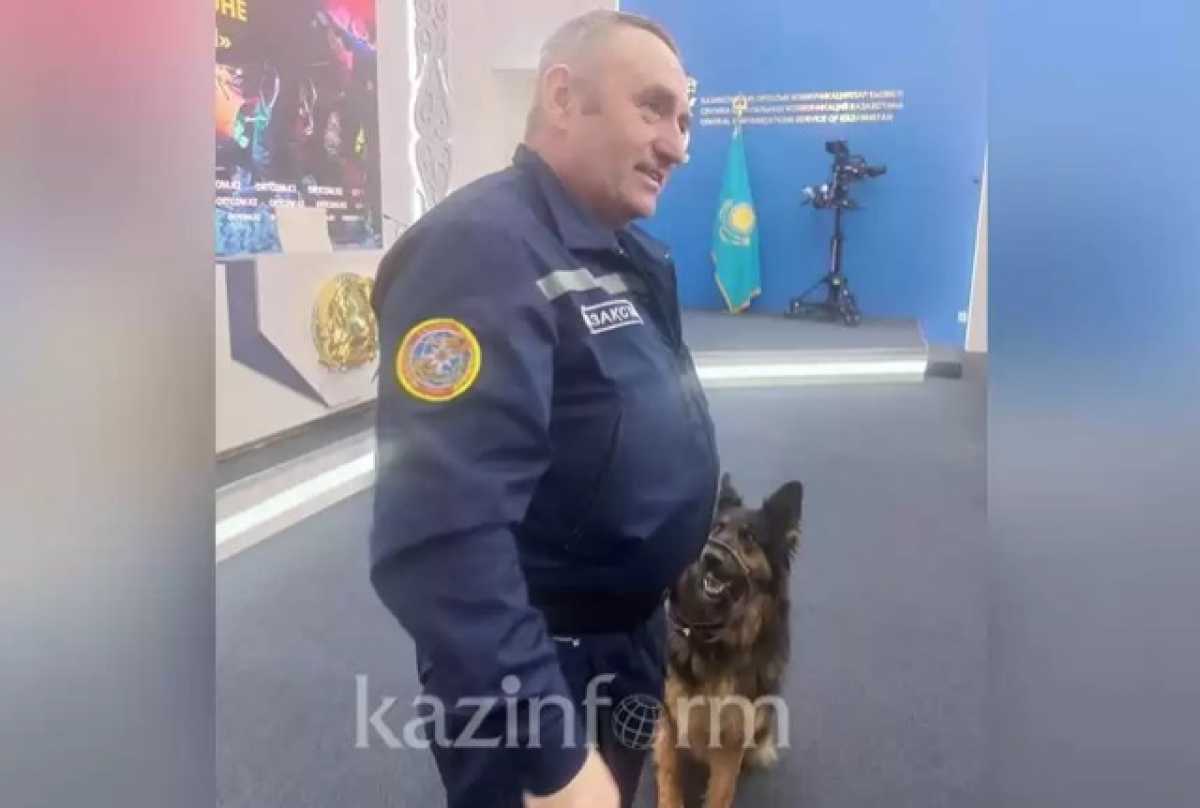 Казахстанская собака спасла жизнь человека в Турции