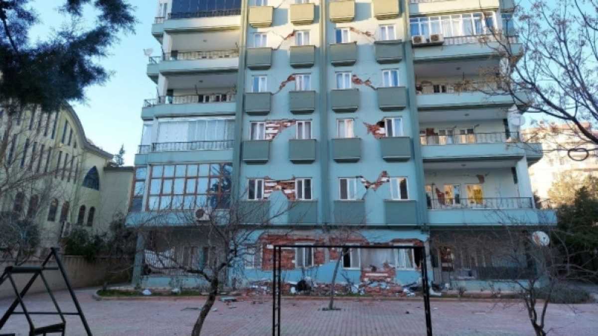 Снос здания в Турции остановили ради спасения найденной под завалами кошки