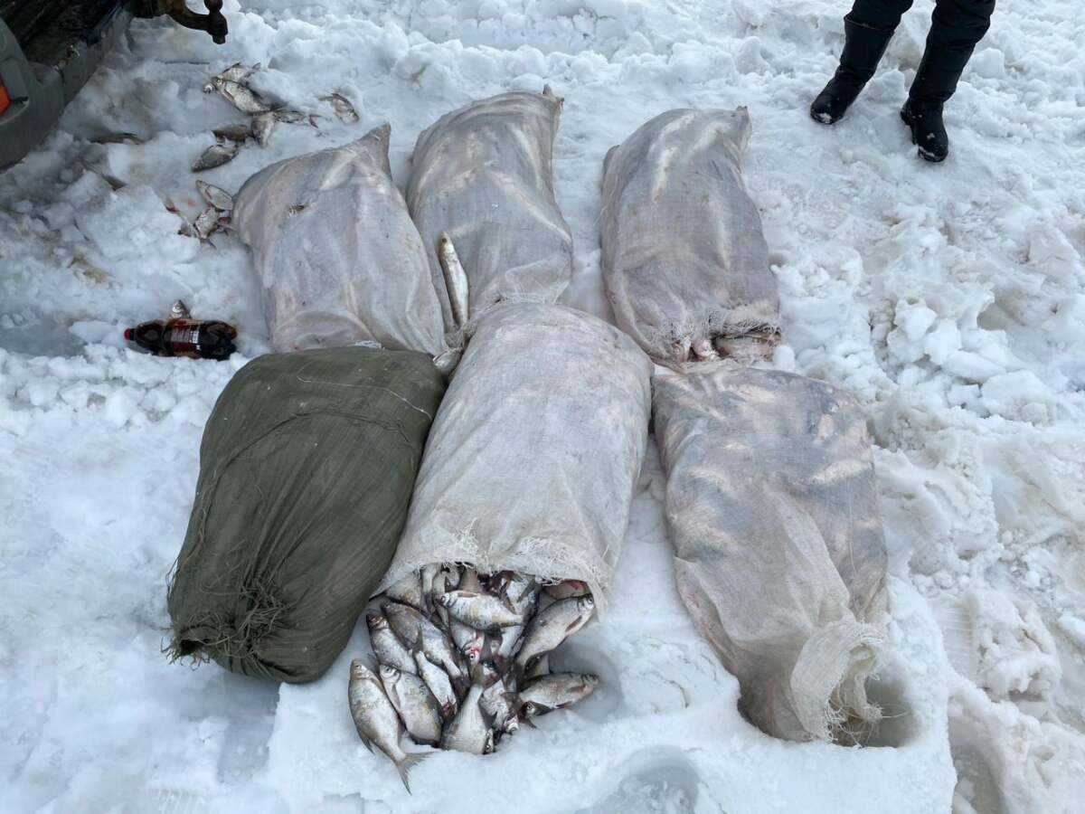 200 кг рыбы изъяли у браконьера в Карагандинской области