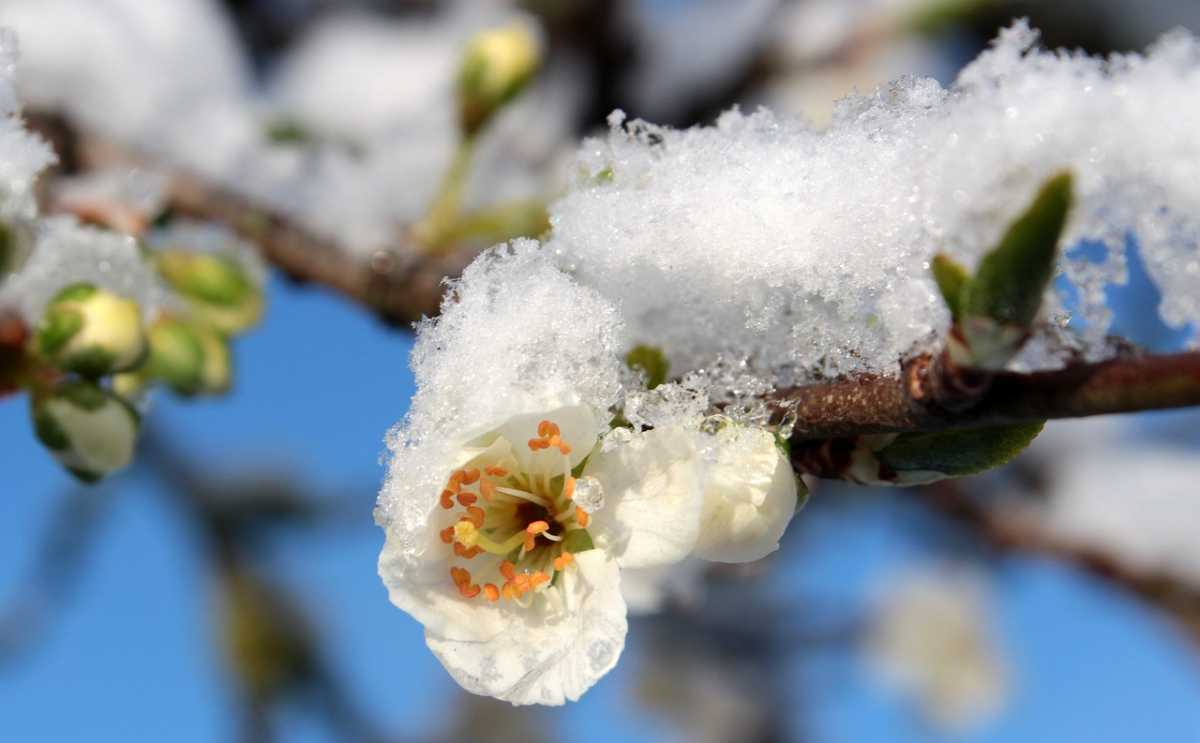Какая погода ожидает казахстанцев в марте, рассказали синоптики