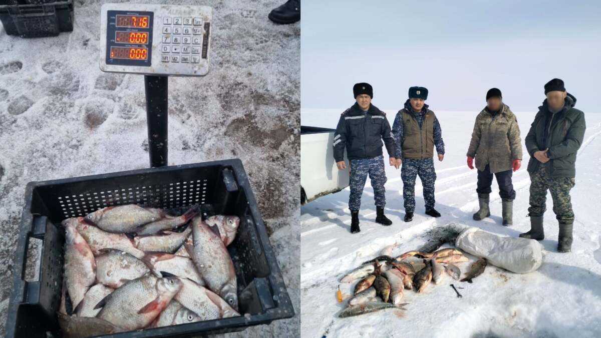 Запрещённые сети использовал рыбак в Жетысуской области: полицией изъято свыше 70 кг рыбы