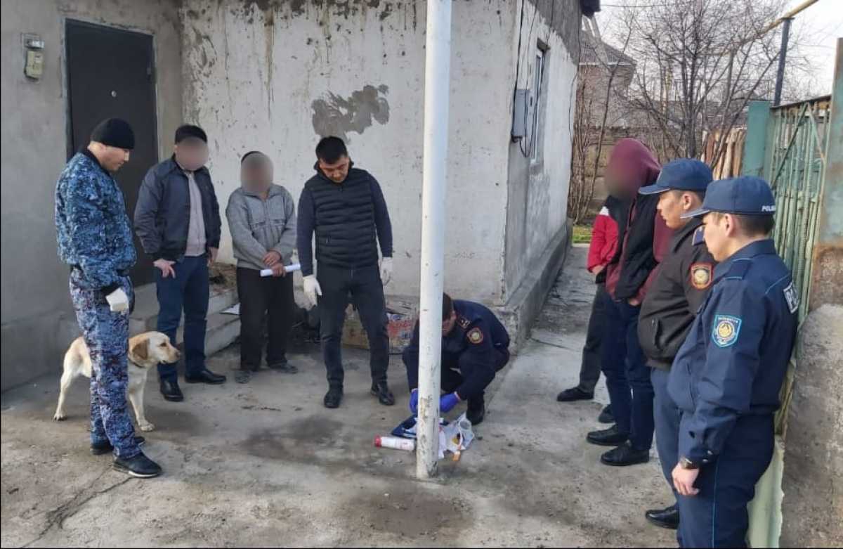 Служебная собака помогла найти наркотики в Туркестанской области