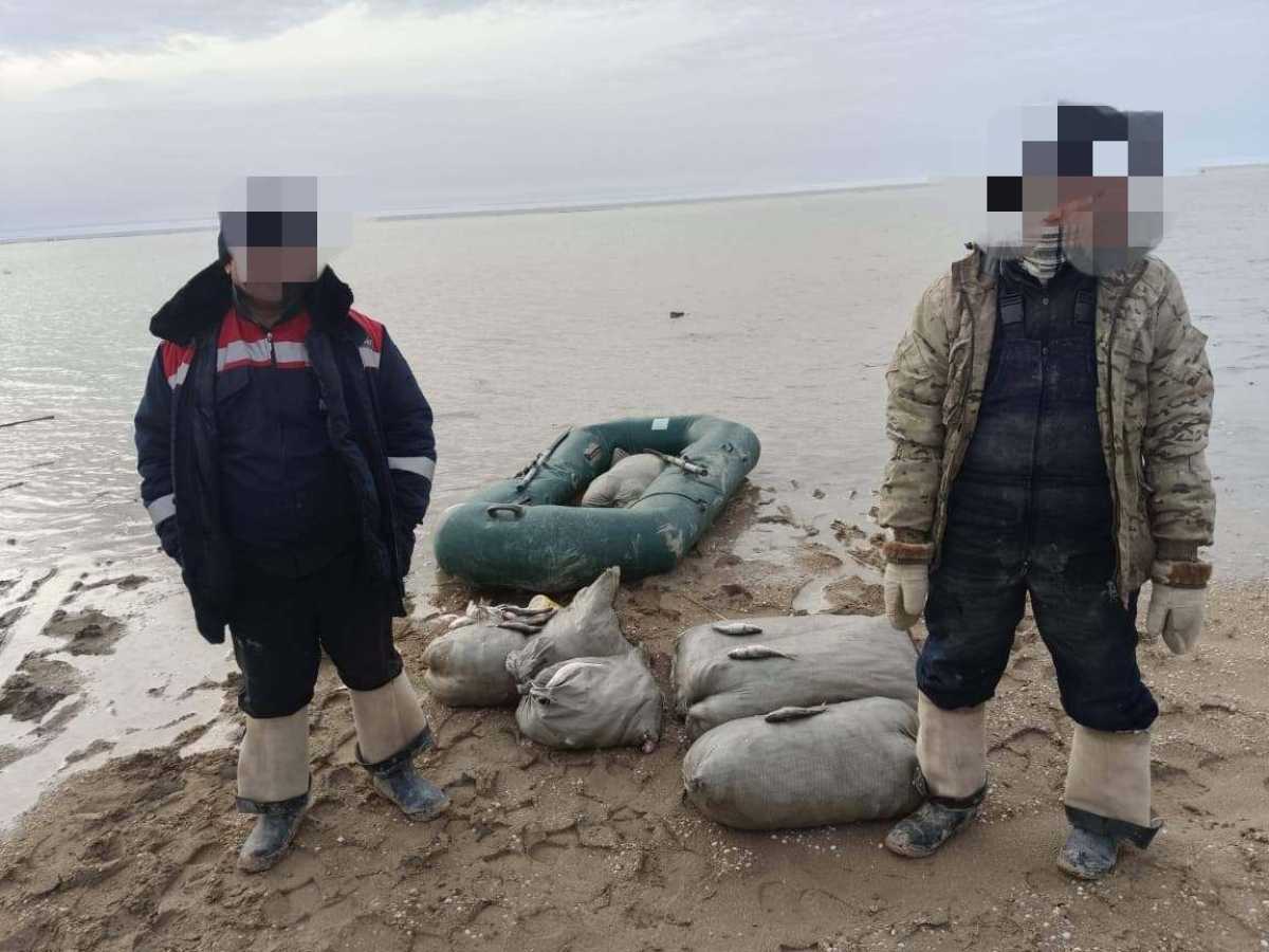 Около 200 кг рыбы незаконно выловили мужчины в Кызылординской области