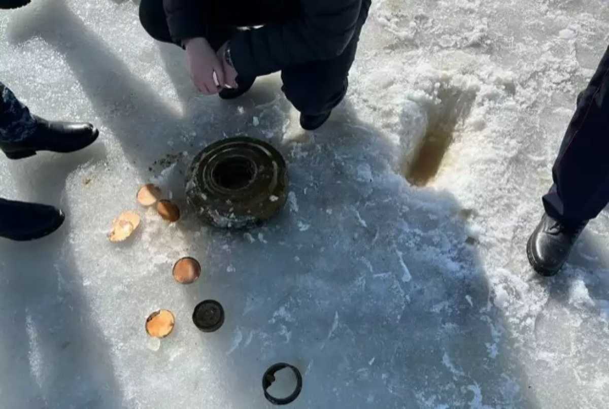 На озере в Кокшетау нашли мину