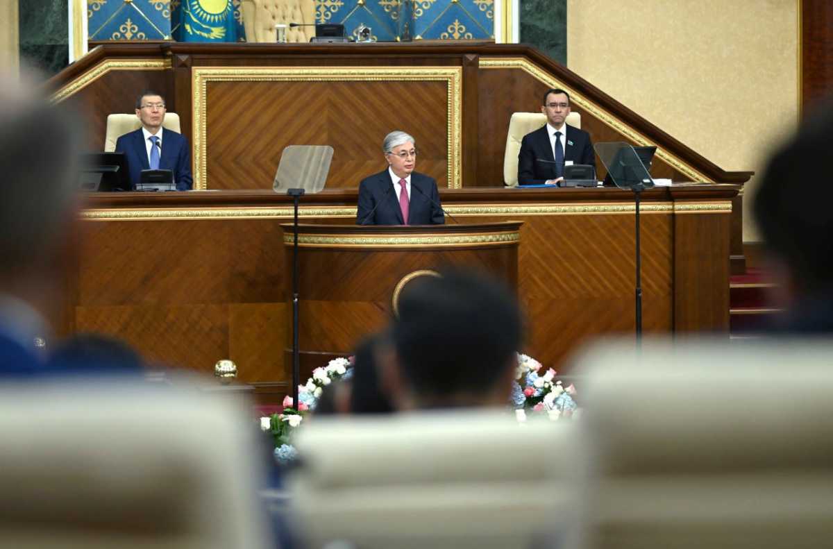 Президент Казахстана поручил разработать единую комплексную программу поддержки МСБ