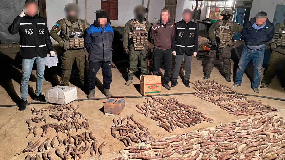 Более 100 кг сайгачьих рогов пытались продать в Кызылординской области