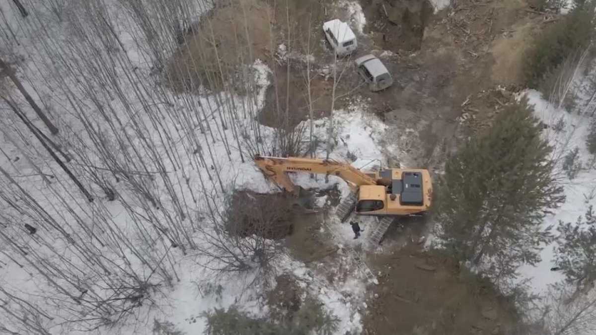 Задержан мужчина, убивший кувалдой двух девочек 22 года назад