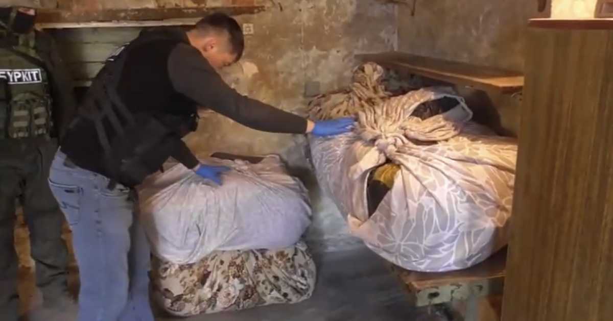 Более 128 кг марихуаны изъяли в ВКО
