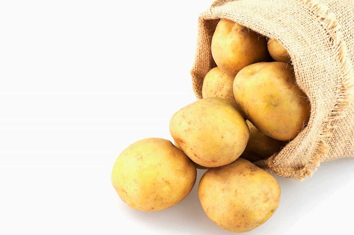 На 30% снизили цену на картофель в Карагандинской области