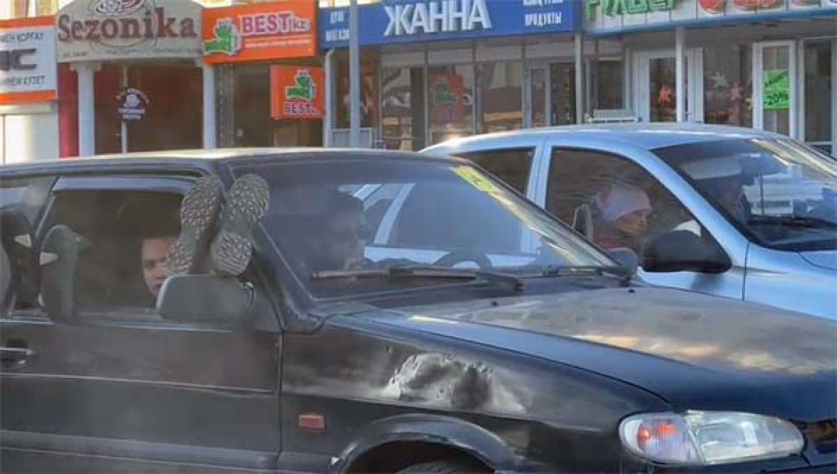 Костанайца наказали за высунутые в окно автомобиля ноги
