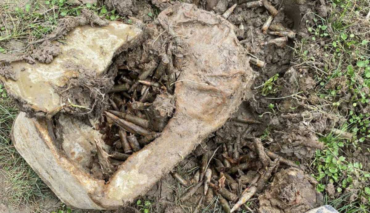 В Жетысуской области обнаружили схрон с боеприпасами