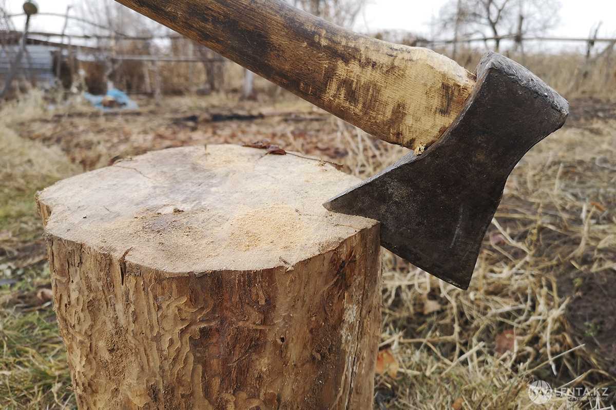 Отчим убил пасынка из-за подслушанного разговора на улице