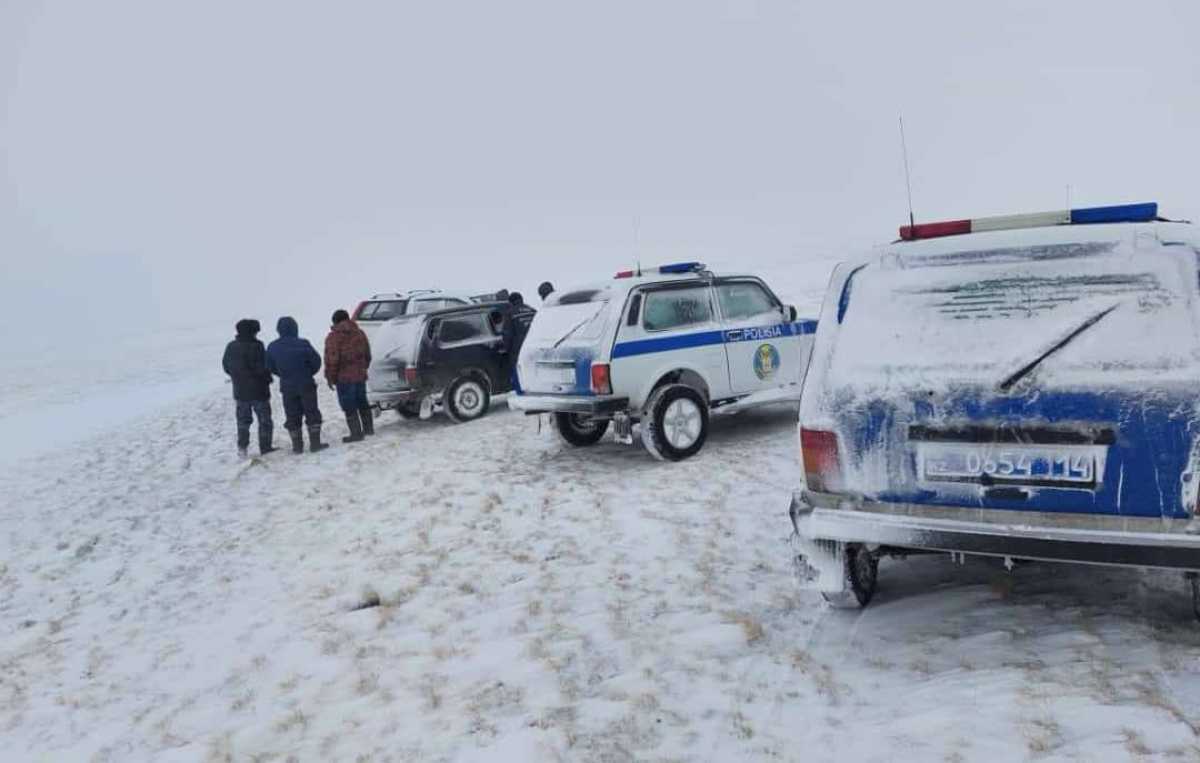 Тело пропавшей женщины нашли в степи в Павлодарской области