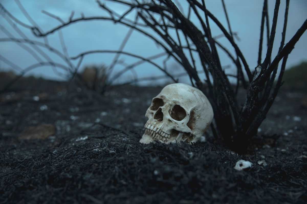 Пакет с человеческими останками нашли на кладбище в Кокшетау