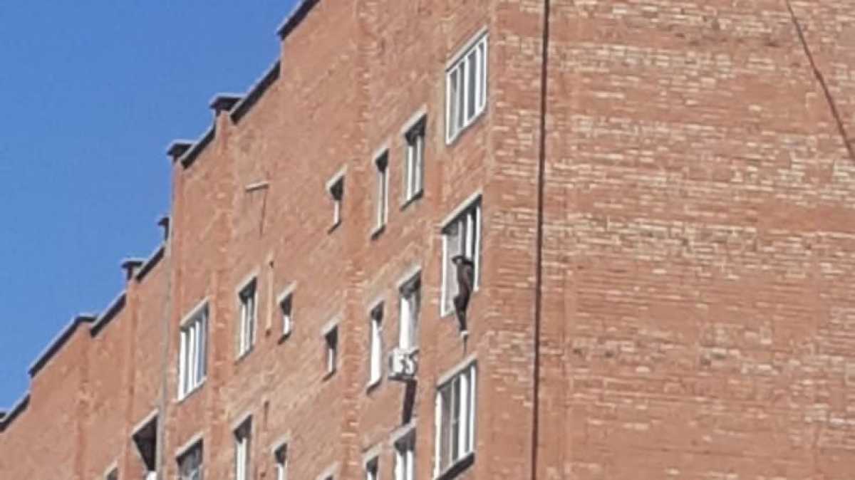 Женщина пыталась спрыгнуть с 9-го этажа в Усть-Каменогорске