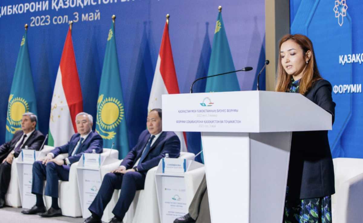 Обсуждены вопросы расширения торгово-экономического сотрудничества между Таджикистаном и Казахстаном - МИИР РК