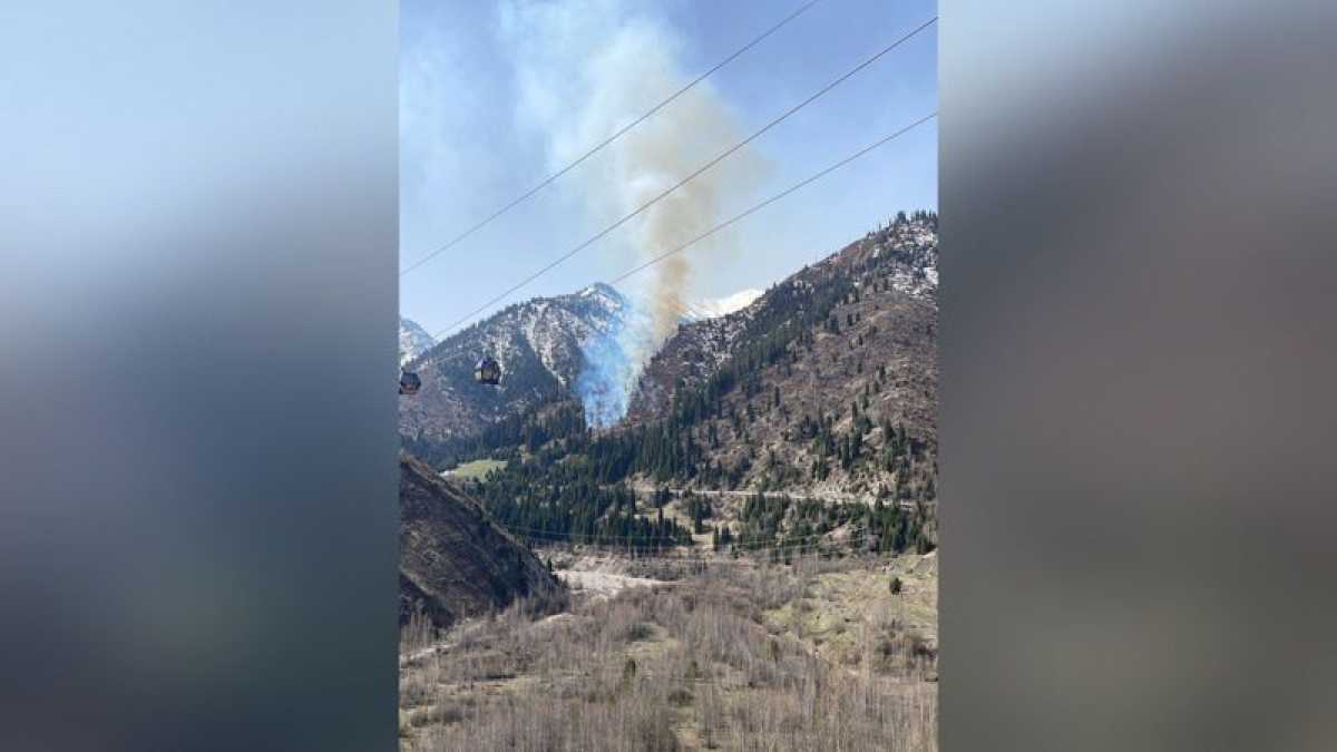 В Иле-Алатауском парке произошёл пожар