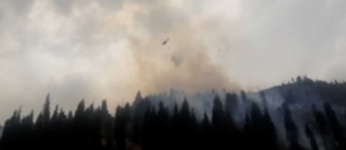 Два вертолёта задействовали для тушения пожара в горах Алматы.