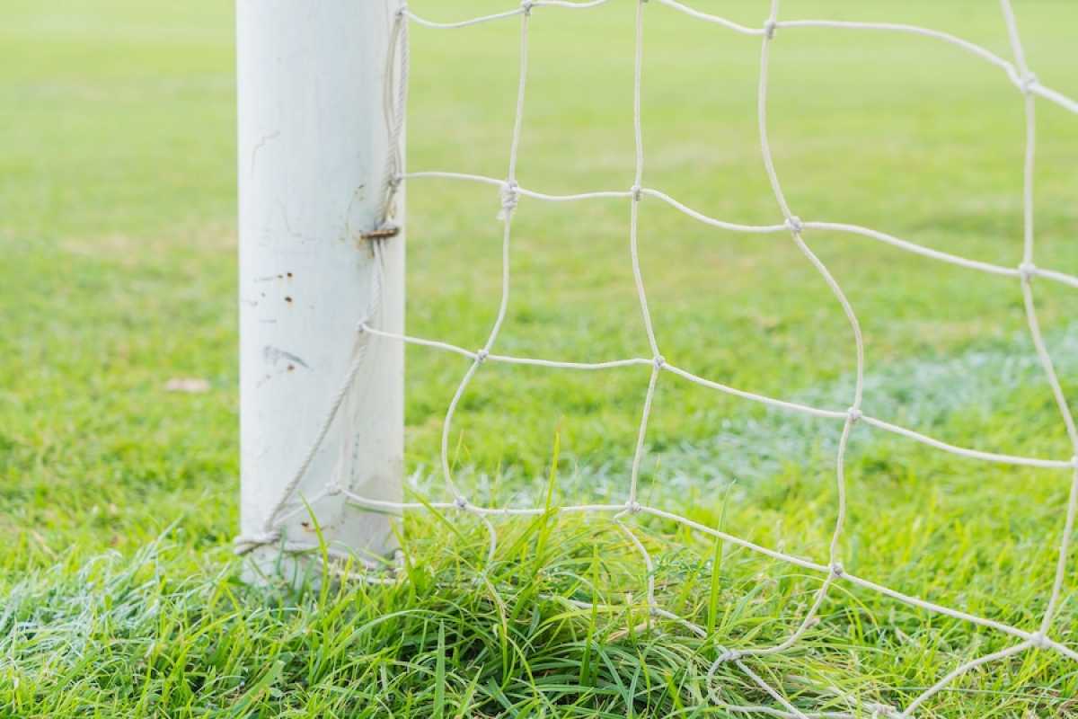 В Темиртау на 12-летнего мальчика упали футбольные ворота