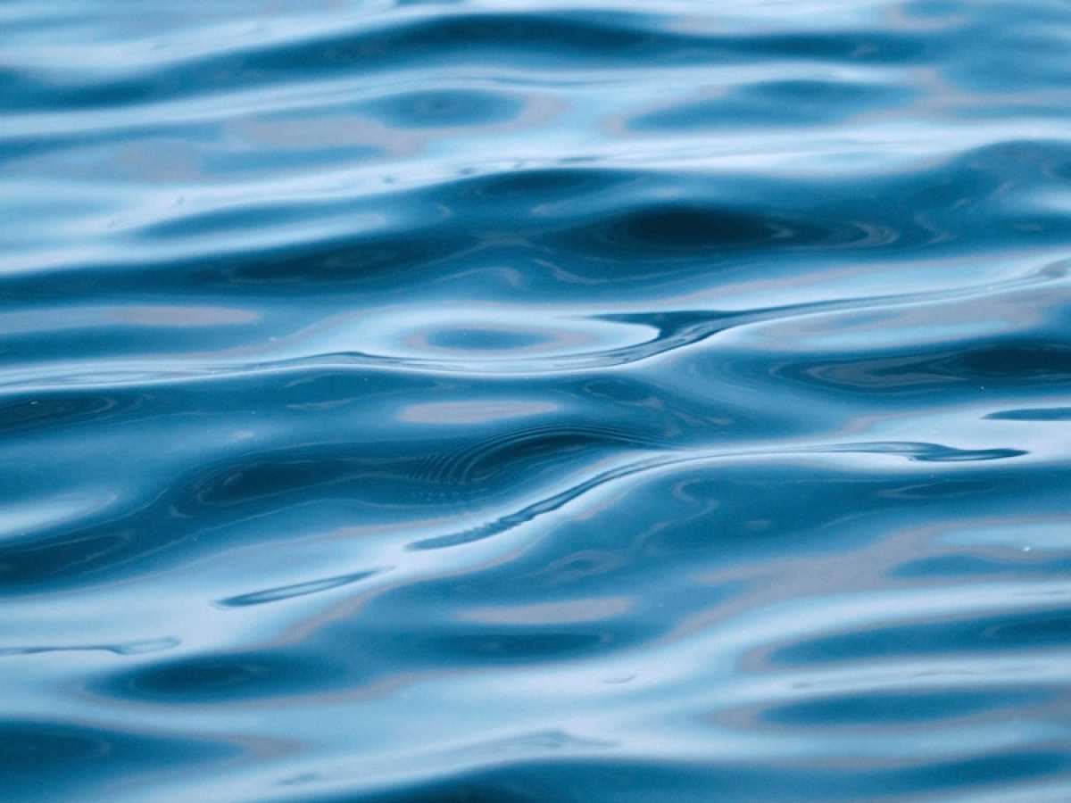 3-летний ребёнок утонул в канале в Жетысуской области