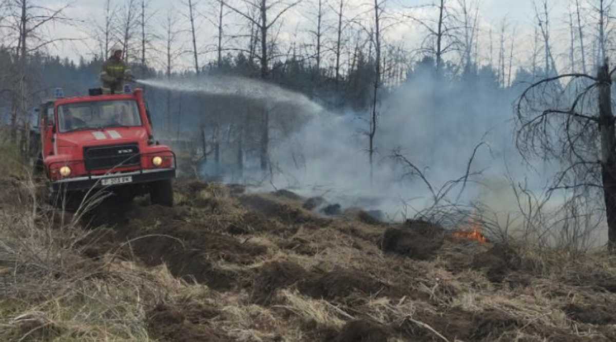 В Абайской области вторые сутки тушат лесной пожар